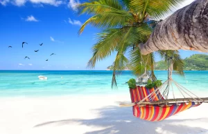 Seychelles: An Archipelago of Sustainable Luxury