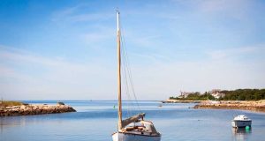 Unique Elephant Experience