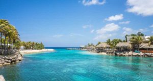 Worst Things to Tell a Flight Attendant